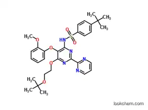 Molecular Structure of 301646-60-6 (N-[6-(2-tert-Butoxy-ethoxy)-5-(2-Methoxy-phenoxy) -[2,2']bipyriMidinyl-4-yl]-4-tert-butyl-benzenesulfonaMide)